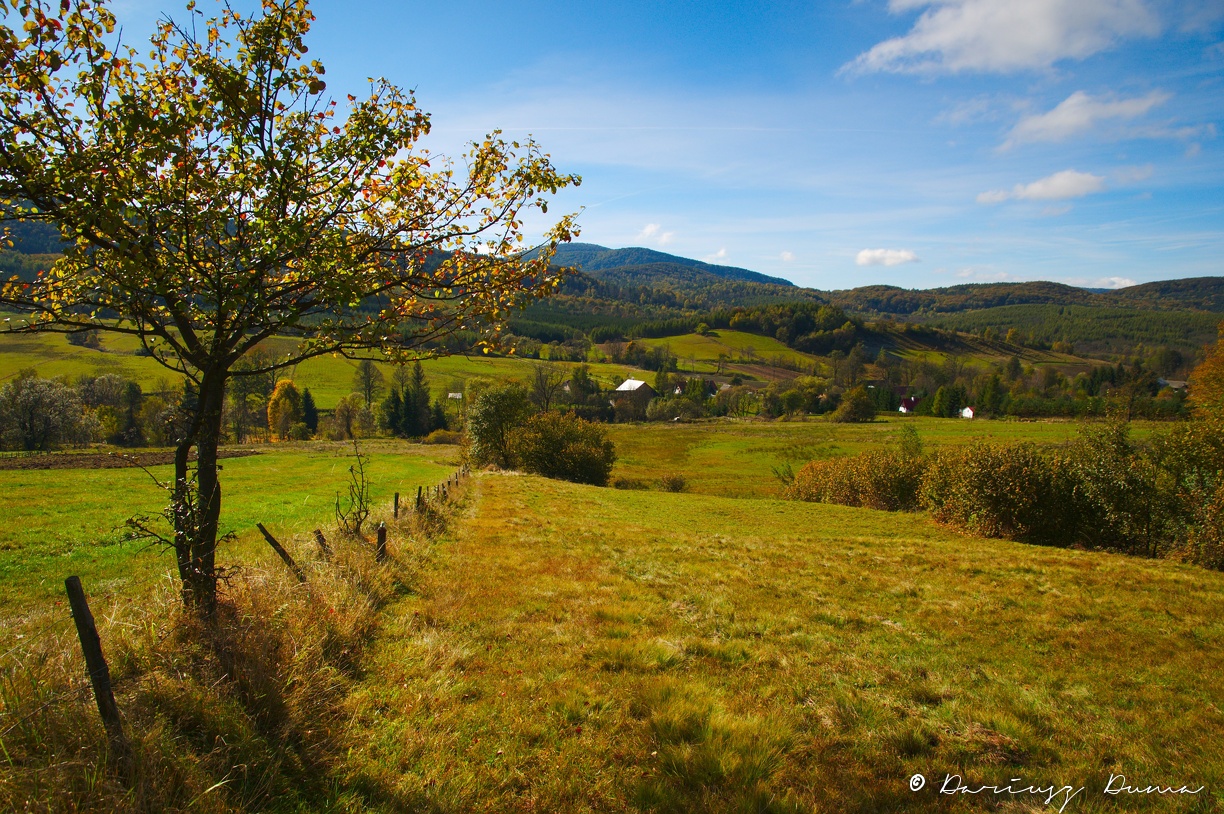 DSC_6997_wynik.jpg