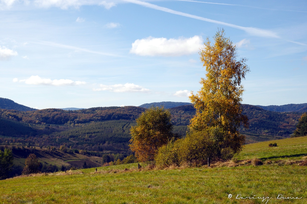 DSC_7043_wynik.jpg
