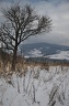 DSC 7721