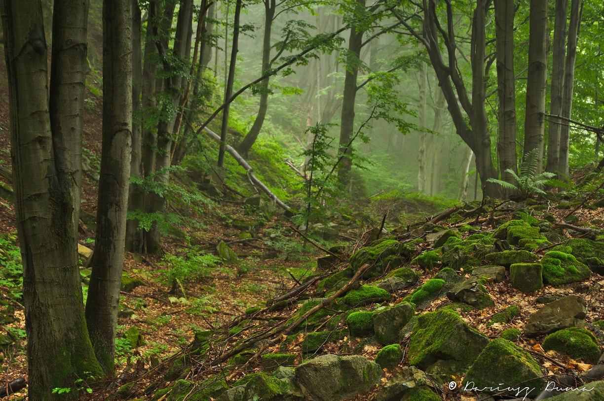 DSC_0695.jpg