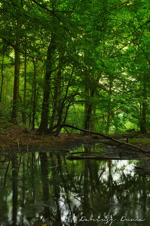 DSC_0734.jpg