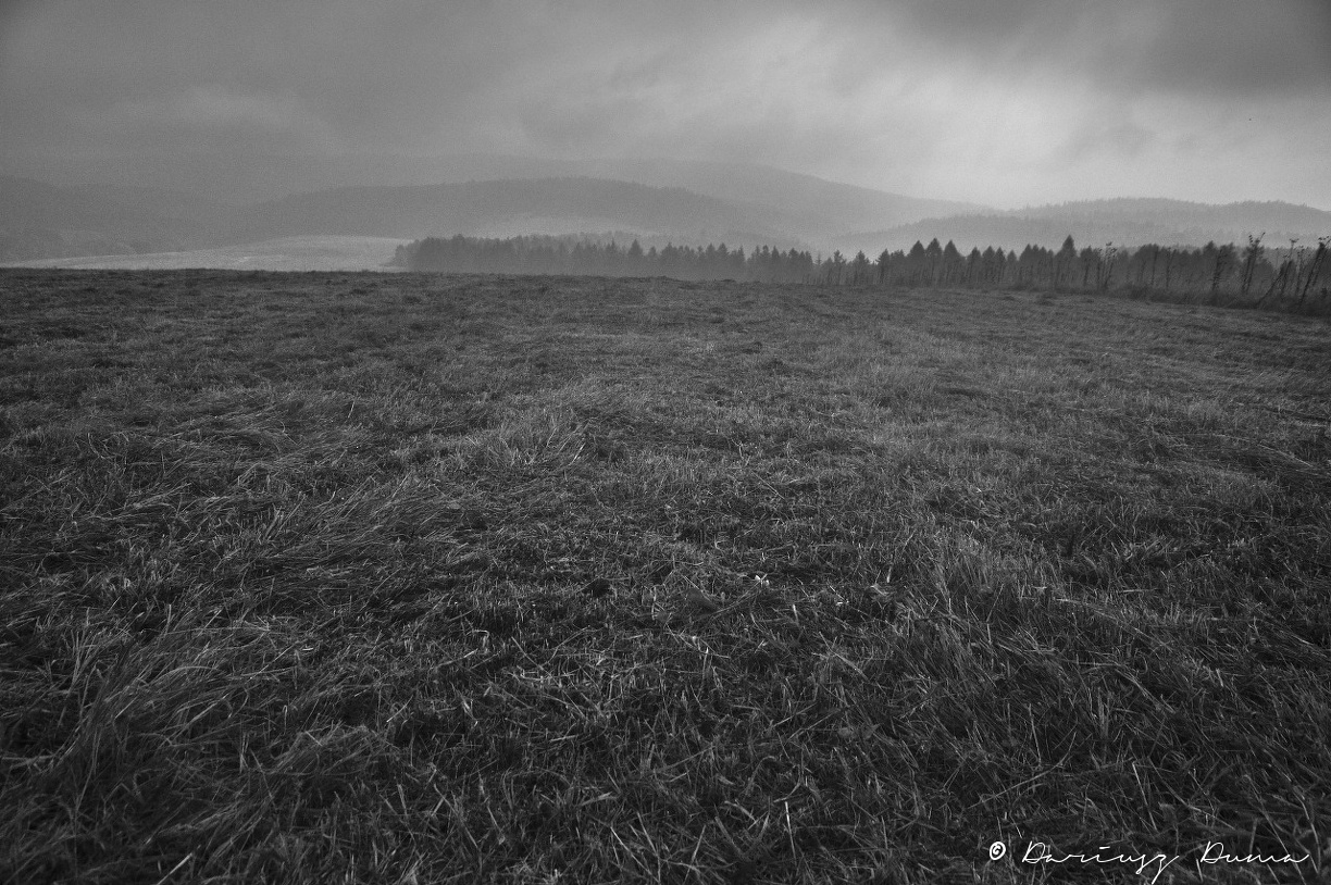 DSC_0745.jpg