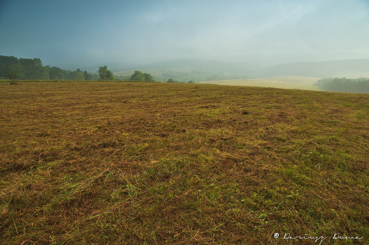 DSC_0749.jpg