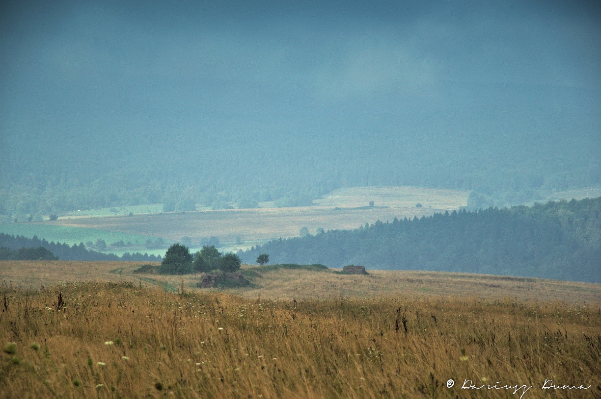 DSC_0765.jpg