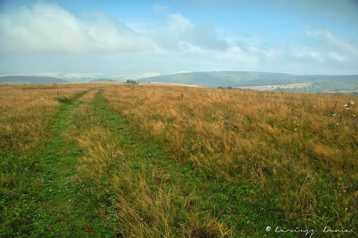 DSC_0769.jpg
