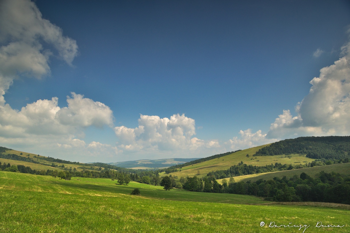DSC_0844.jpg