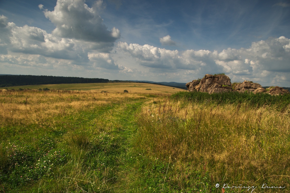 DSC_0870.jpg