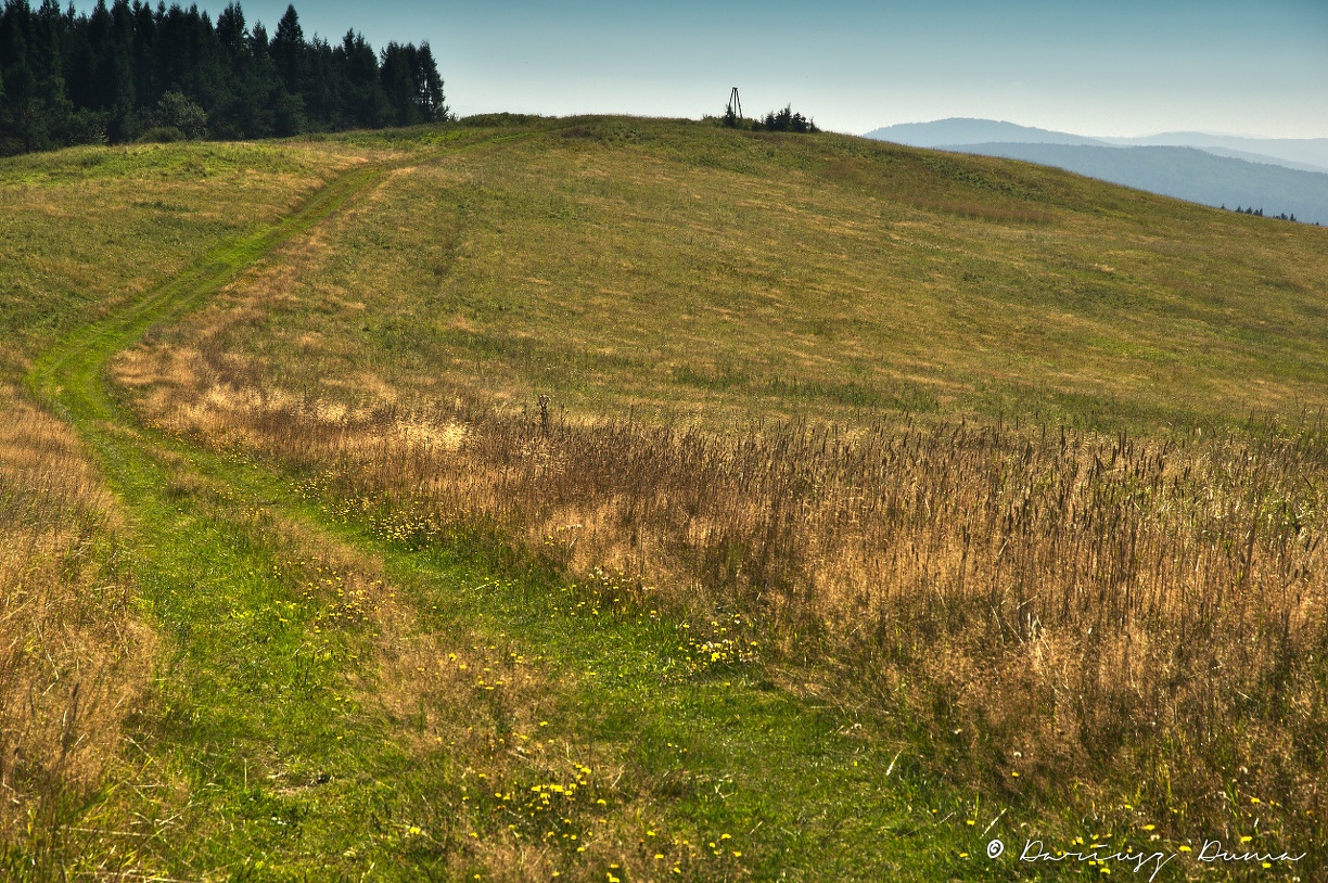 DSC_0916.jpg