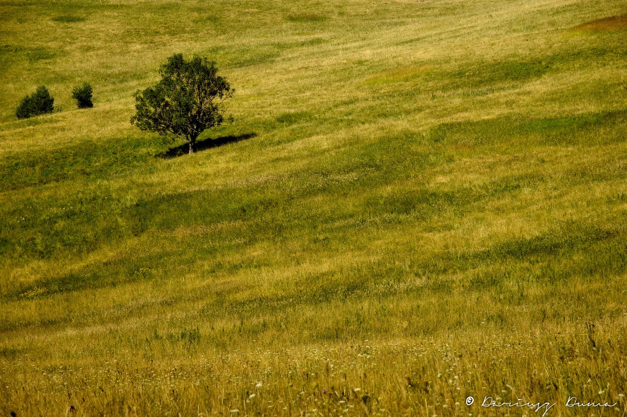 DSC_0945.jpg