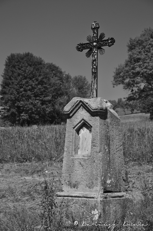 DSC_0991.jpg