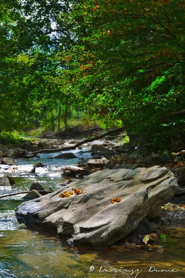 DSC_1177.jpg