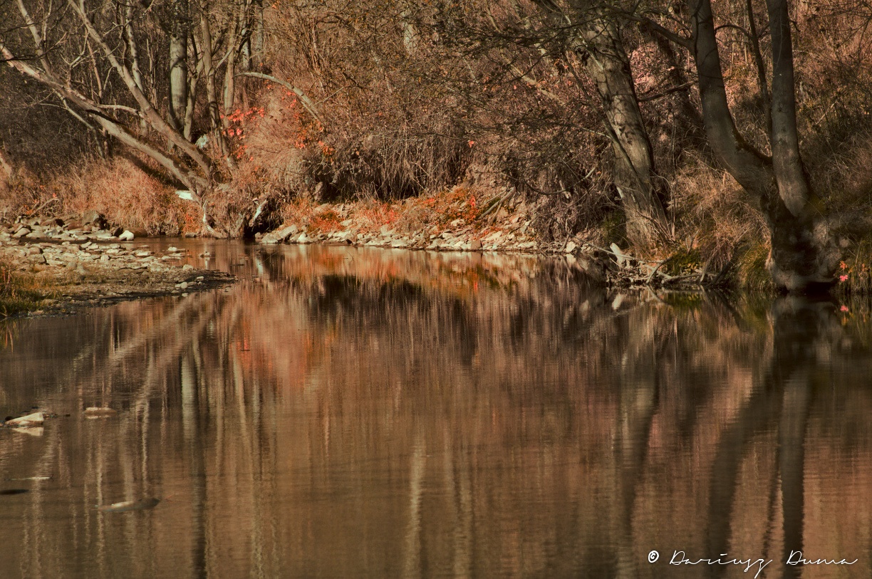 DSC_3692.jpg
