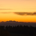 DSC_3839_01