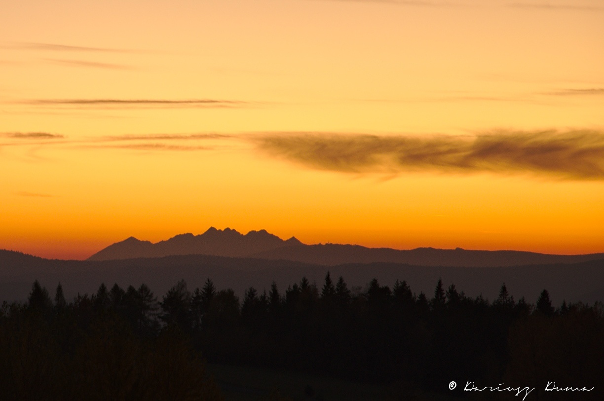 DSC_3839_01.jpg
