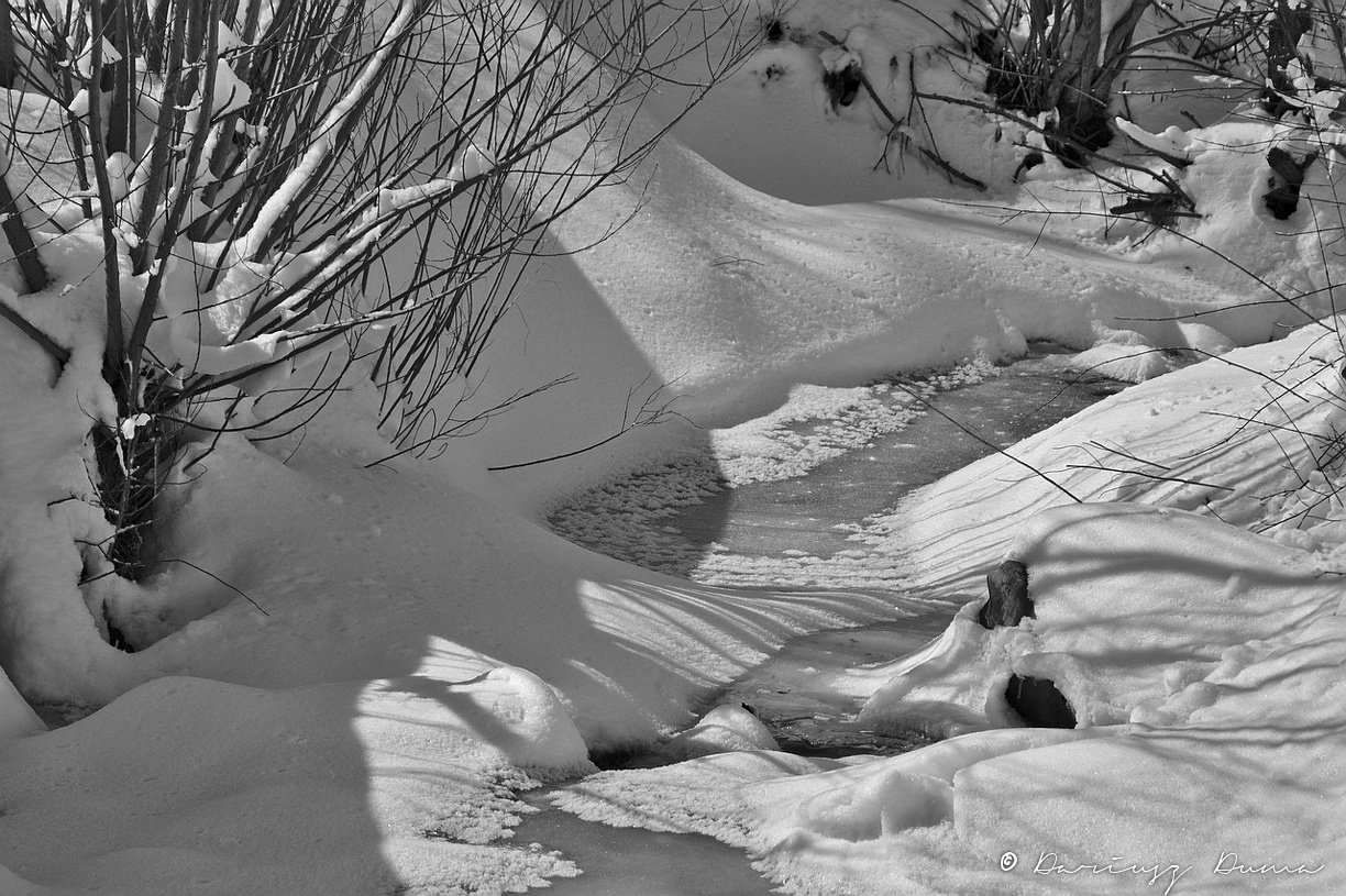 DSC_4060.jpg