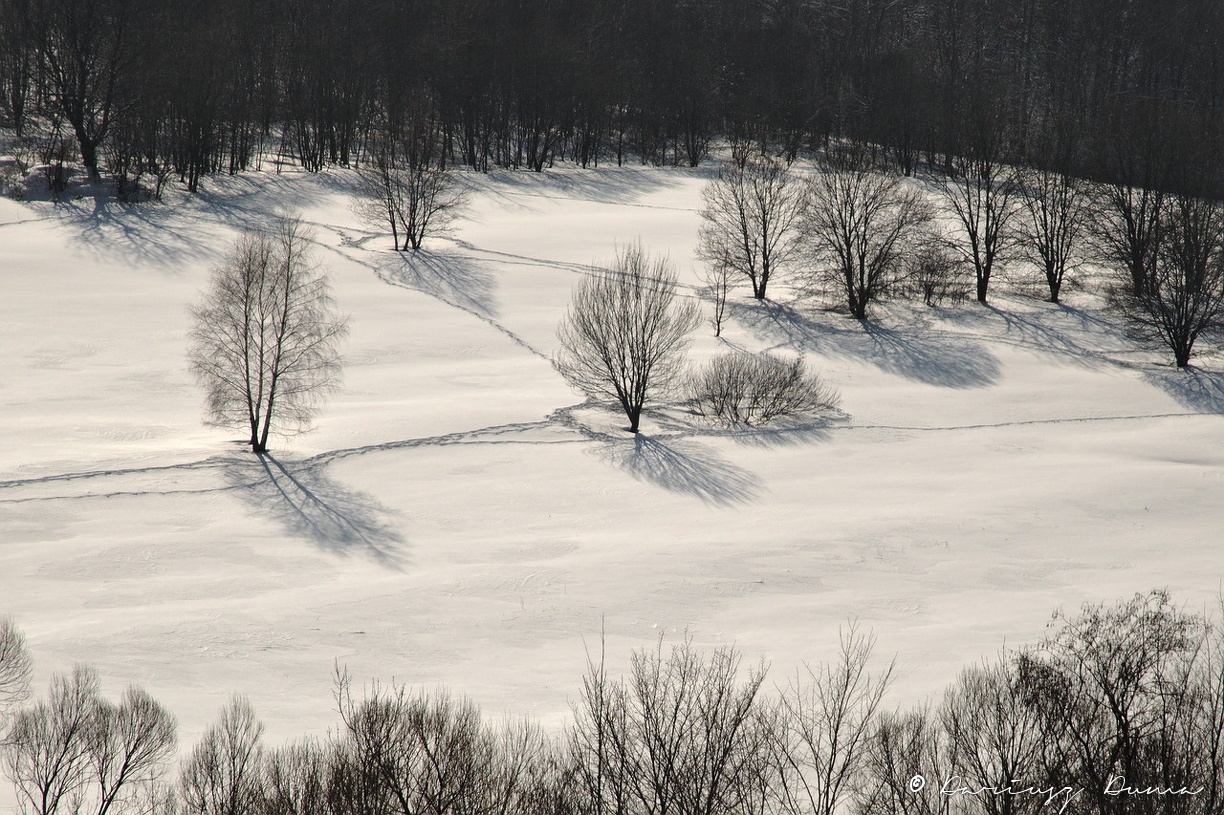 DSC_4116.jpg