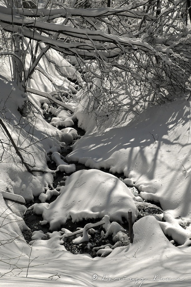 DSC_4145.jpg