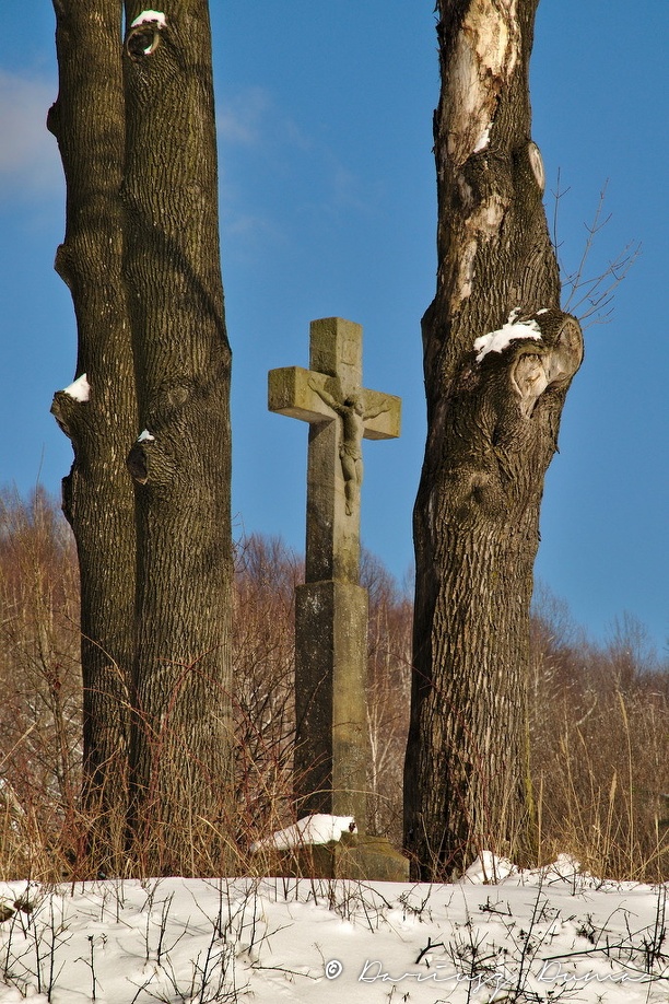 DSC_4179.jpg