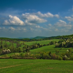 Standardy radocyńskie