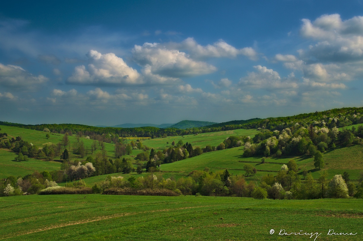 DSC_4485.jpg