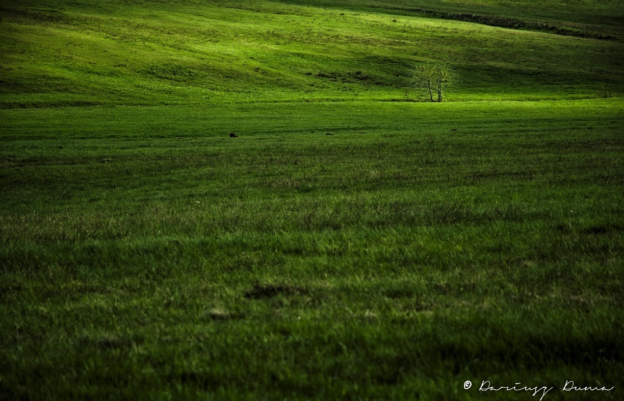 DSC_4509.jpg