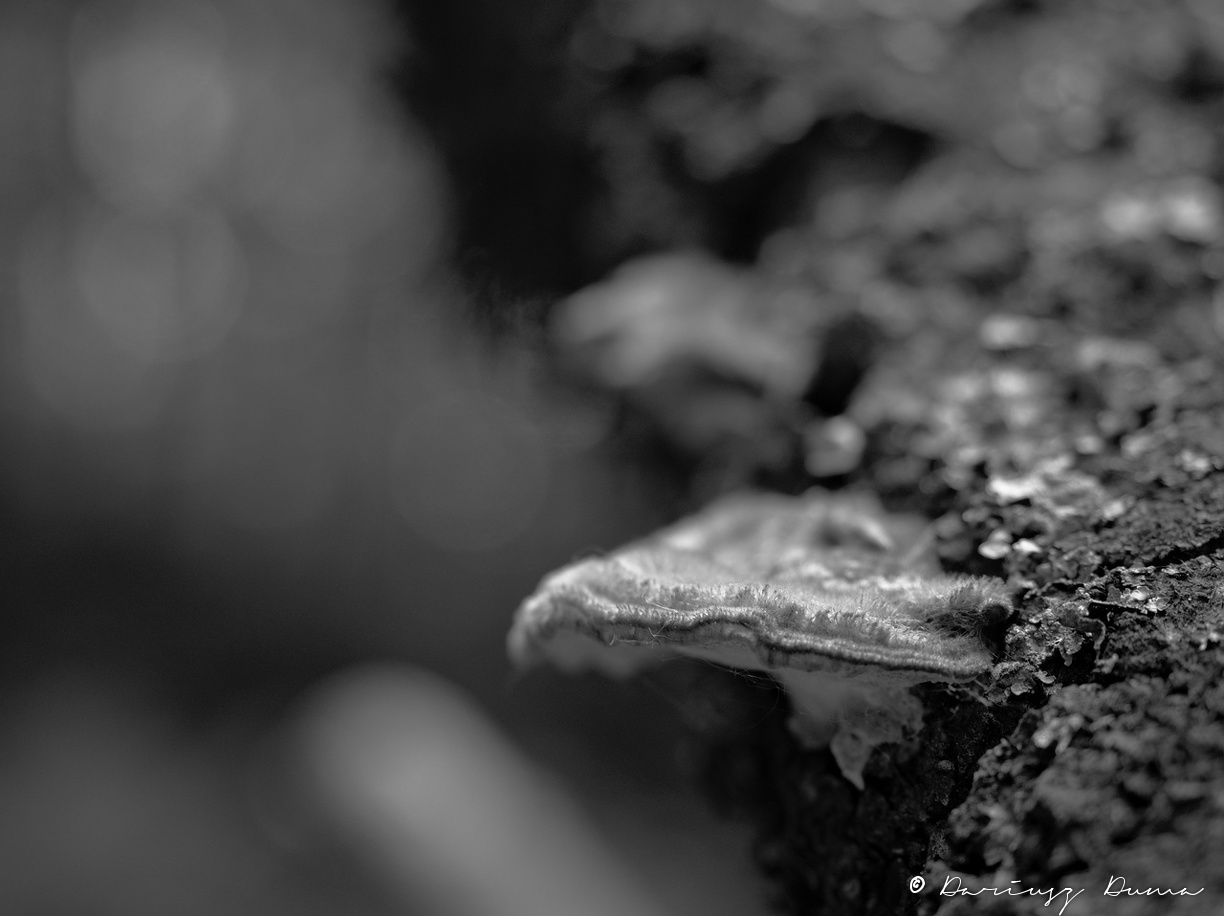 P5240014.jpg