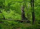 P5240031