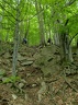P5240037
