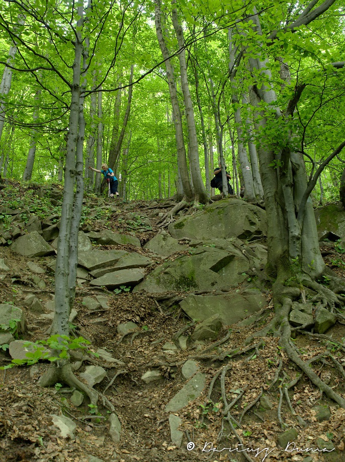 P5240037.jpg