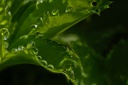 P5250132