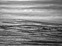P2010167