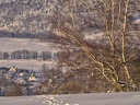 P2010190
