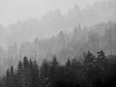 P2010211