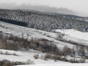 P2010212