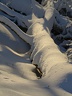 P2010219