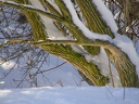 P2010221