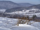 P2010270