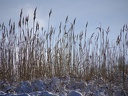 P2010296
