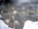 P2010312