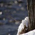 P2010316