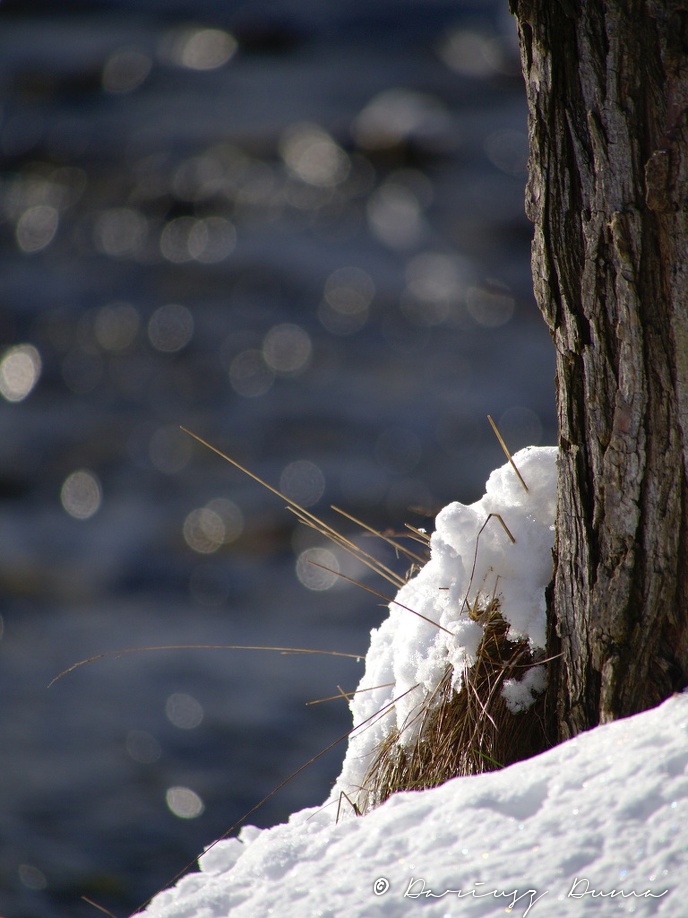 P2010316.jpg