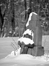 P2010319