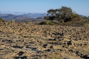 Near Jabal Samhan